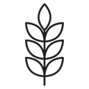 High fiber food icon