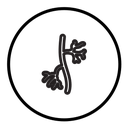 Human artery icon