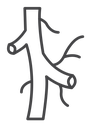 Human artery Black Outline icon