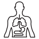 Human body anatomy icon