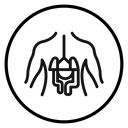 Human body anatomy icon