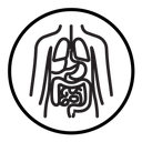 Human body anatomy icon