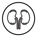 Human kidneys icon