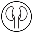 Human kidneys Black Outline icon