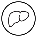 Human liver Black Outline icon