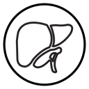 Human liver icon