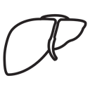 Human liver icon