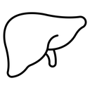 Human liver icon