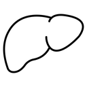 Human liver icon