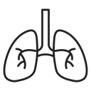 Human lungs icon