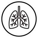 Human lungs icon