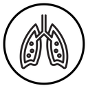 Human lungs icon