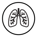 Human lungs icon