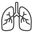 Human lungs icon