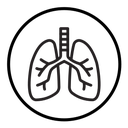Human lungs icon