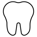 Human Molar Tooth icon