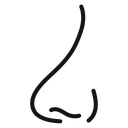 Human nose icon