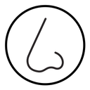 Human nose icon