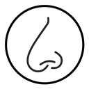 Human nose icon