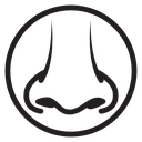 Human nose icon