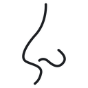 Human nose 2 icon