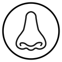 Human nose icon