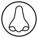 Human nose icon