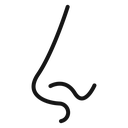 Human nose icon
