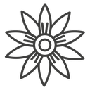 Hypericum icon