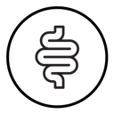 Intestine icon