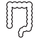 Intestines icon