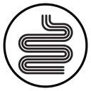 Intestines icon