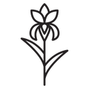 Iris icon