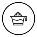 Juicer squeezer icon