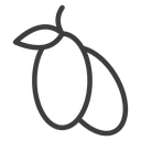 Jujube icon