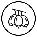 Jujube icon