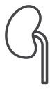 Kidney icon
