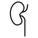 Kidney 2 icon