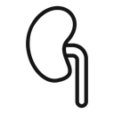 Kidney icon