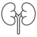 Kidney 4 icon