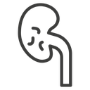 Kidney disease icon