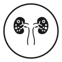 Kidney disease icon