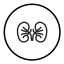 Kidney icon