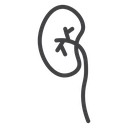 Kidneys icon