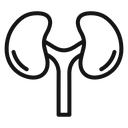 Kidneys 4 icon