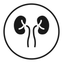 Kidneys icon