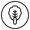 Kimchi Cabbage Leaf icon