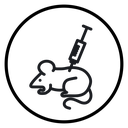 Lab Rat Experiment icon
