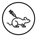 Lab rat experiment icon