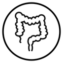 Large intestine icon